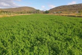 2 Bedroom Property for Sale in Oudtshoorn Rural Western Cape